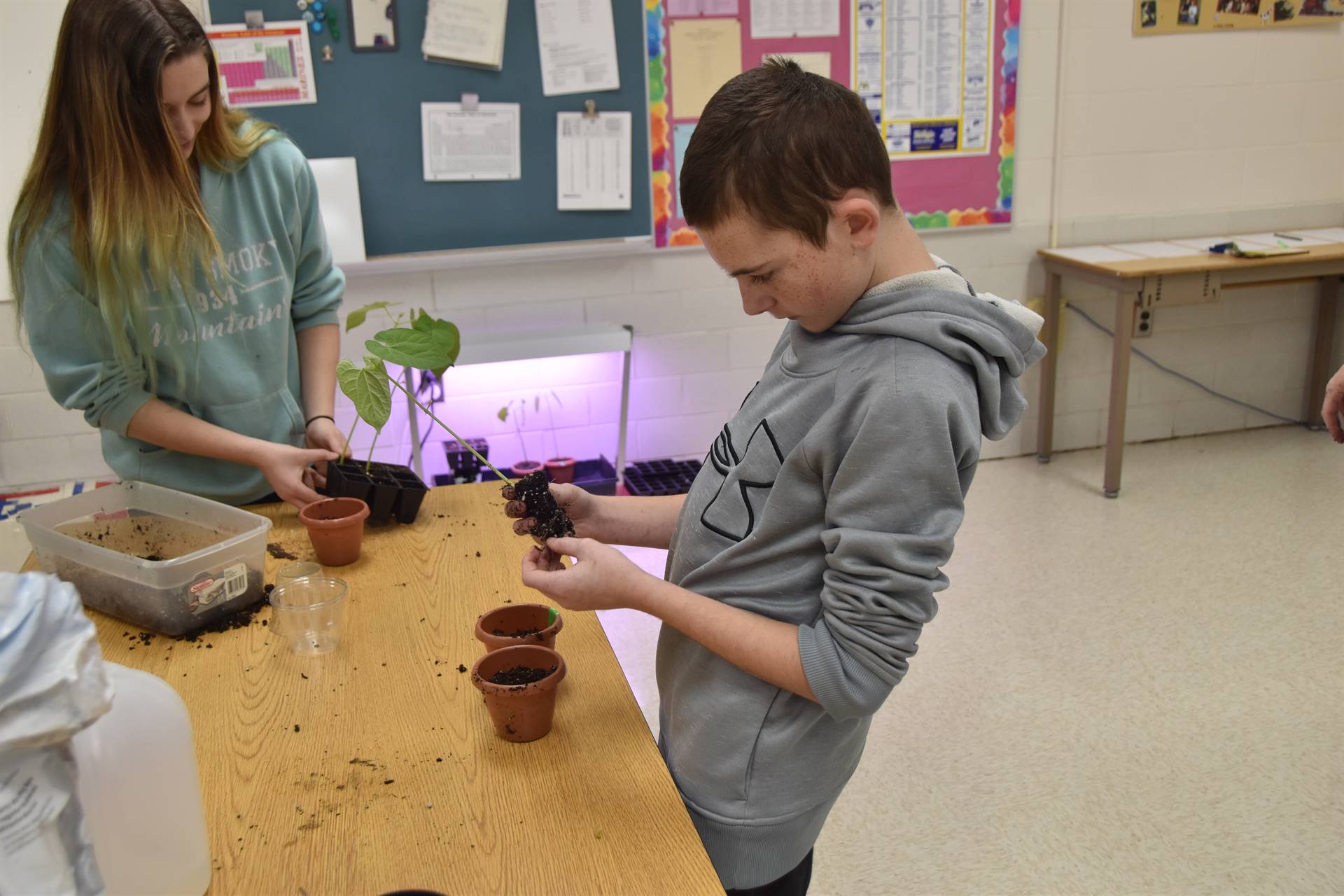 students working soil