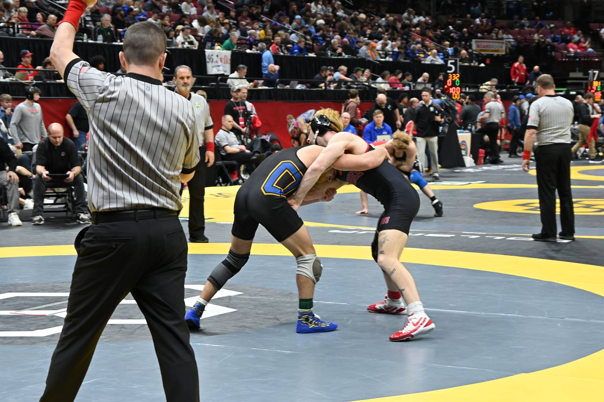 wrestling