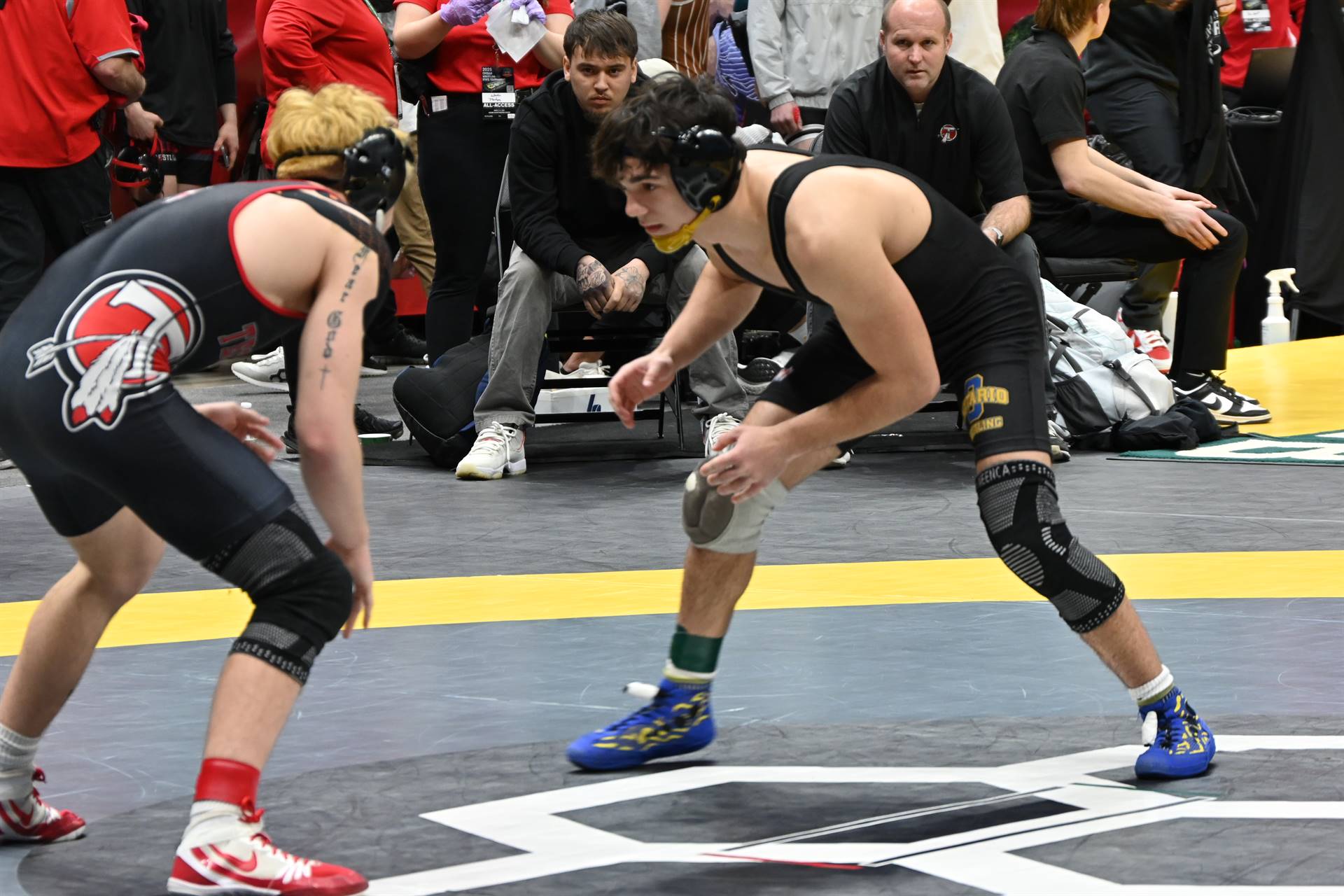 wrestling
