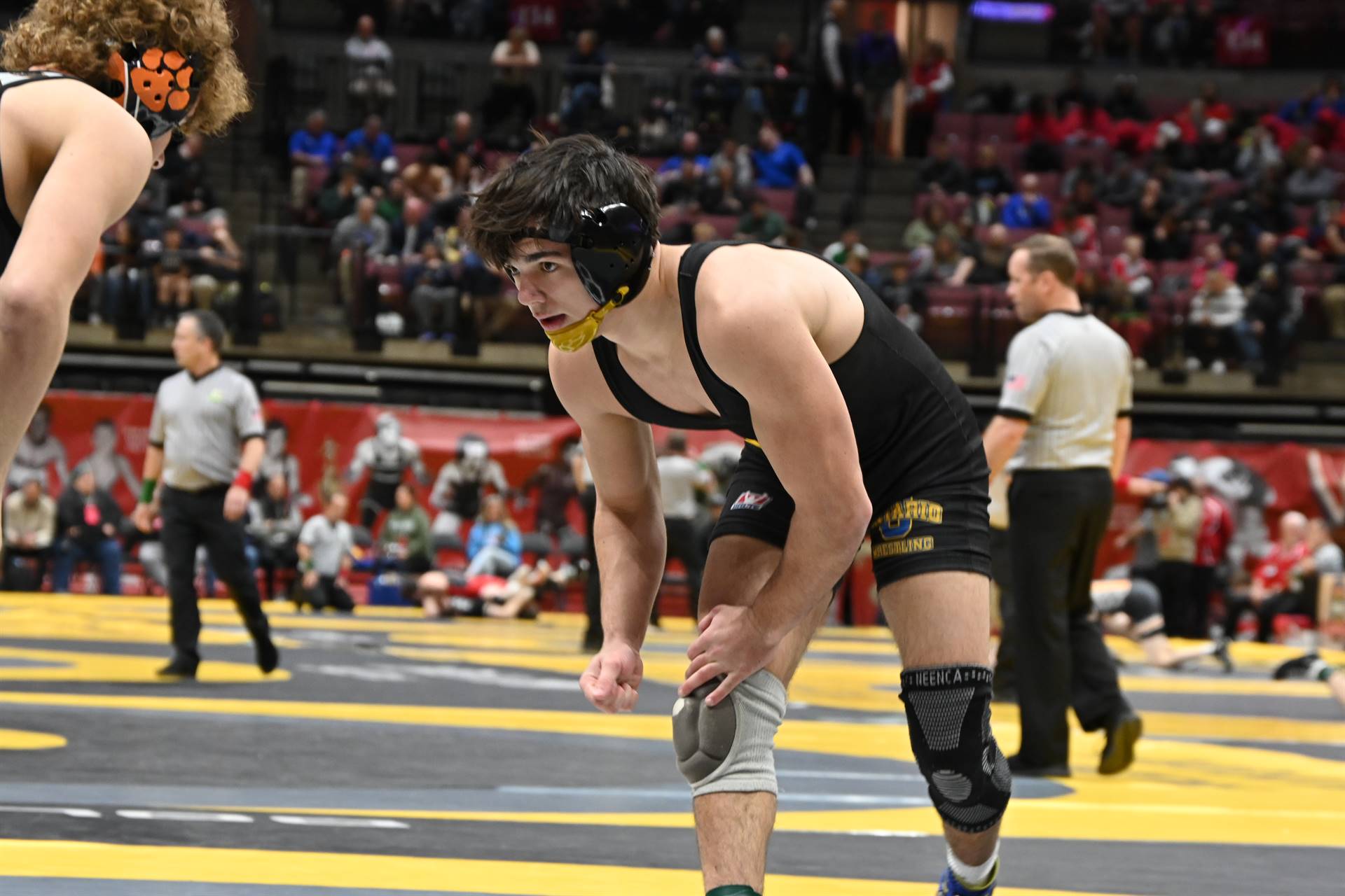 wrestling