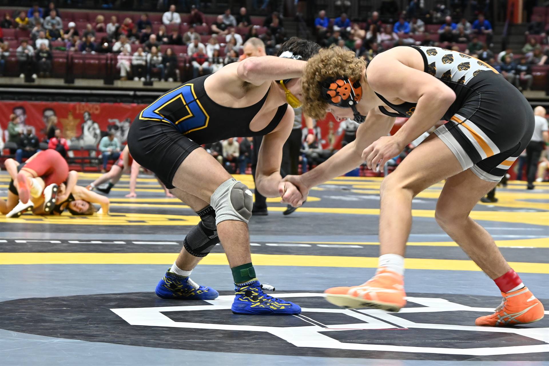 wrestling