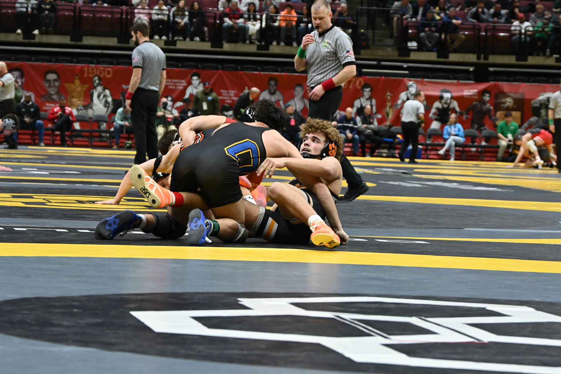 wrestling