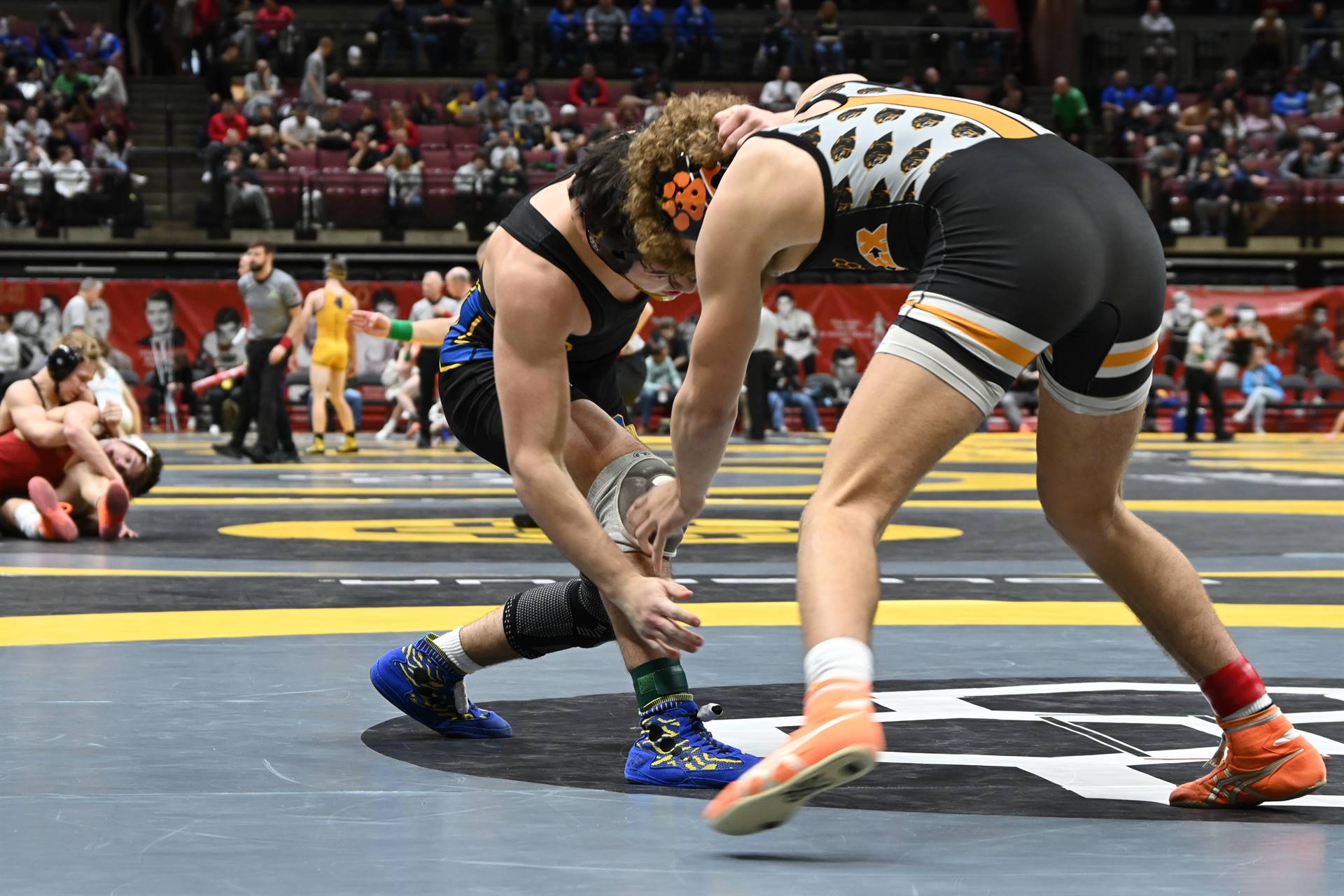 wrestling