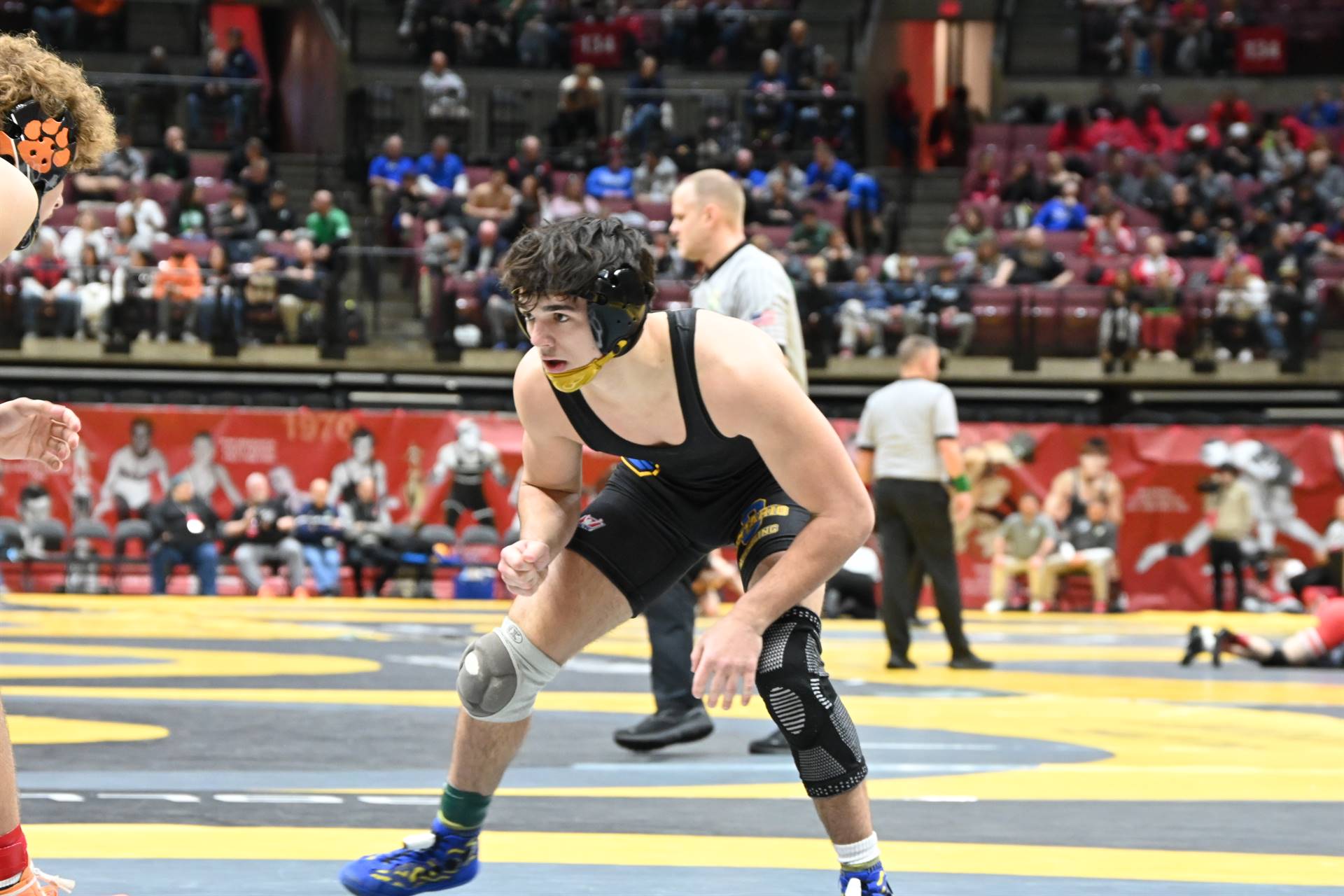 wrestling