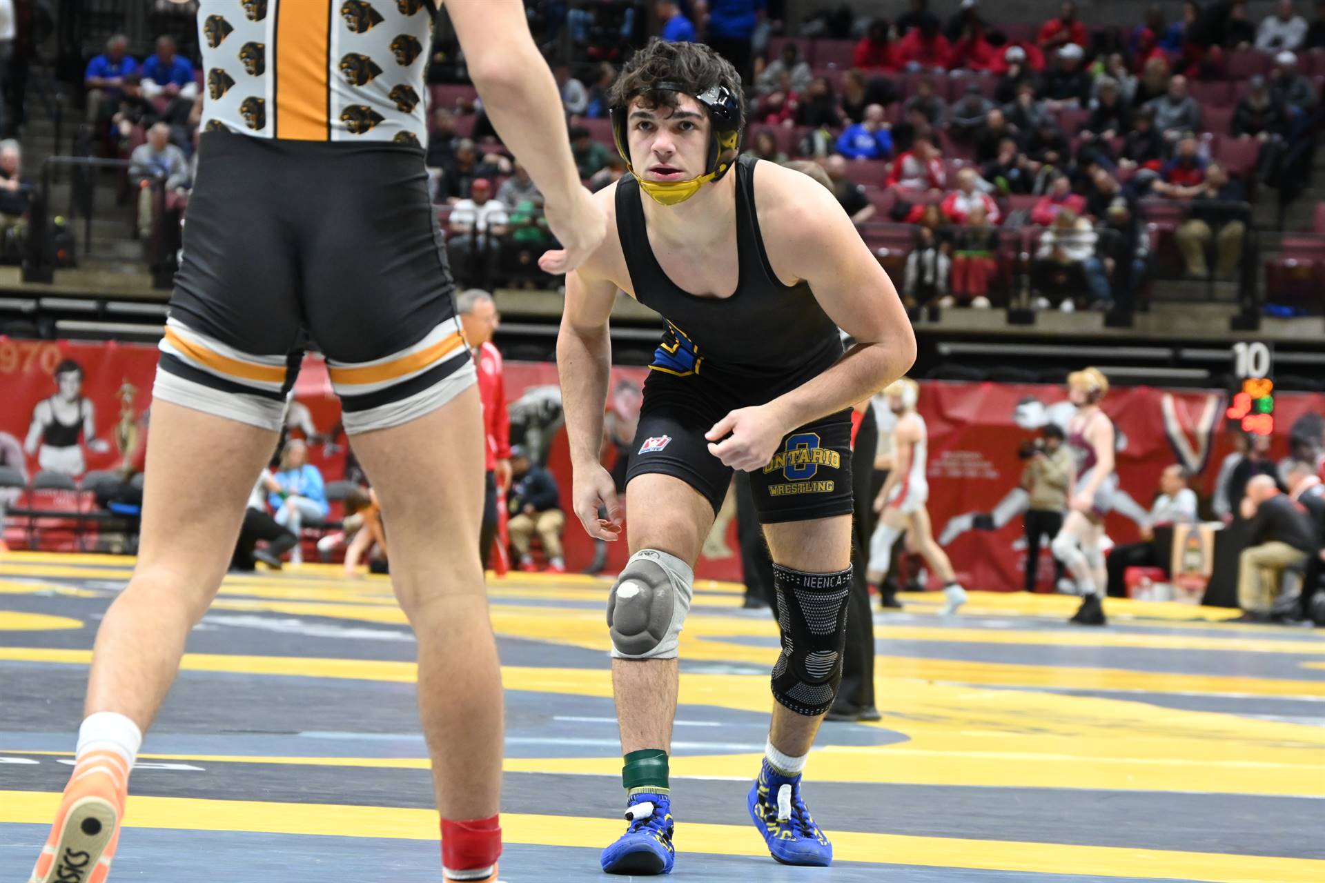 wrestling