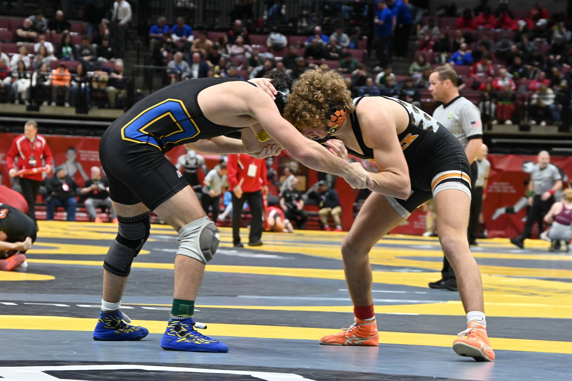 wrestling