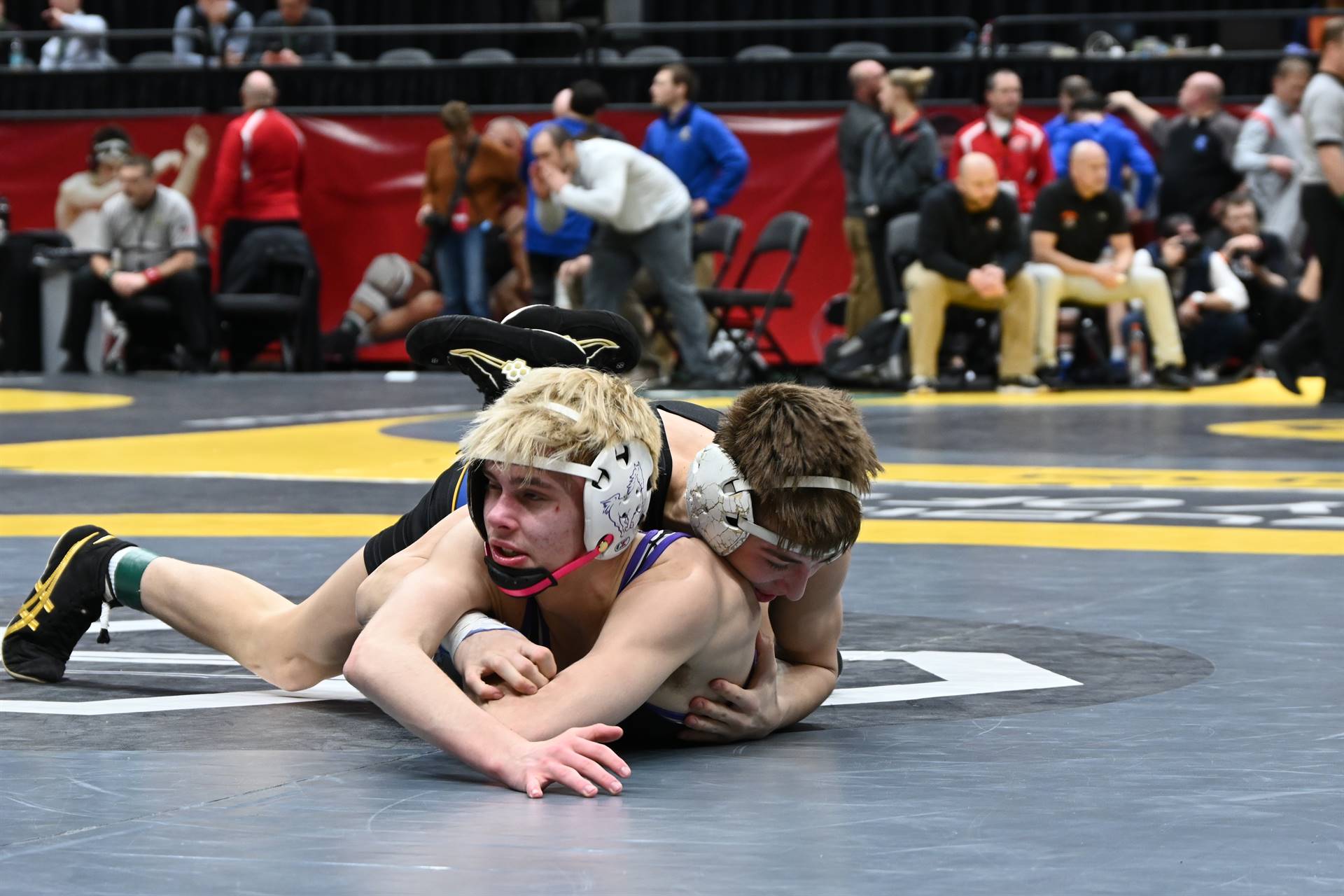 wrestling