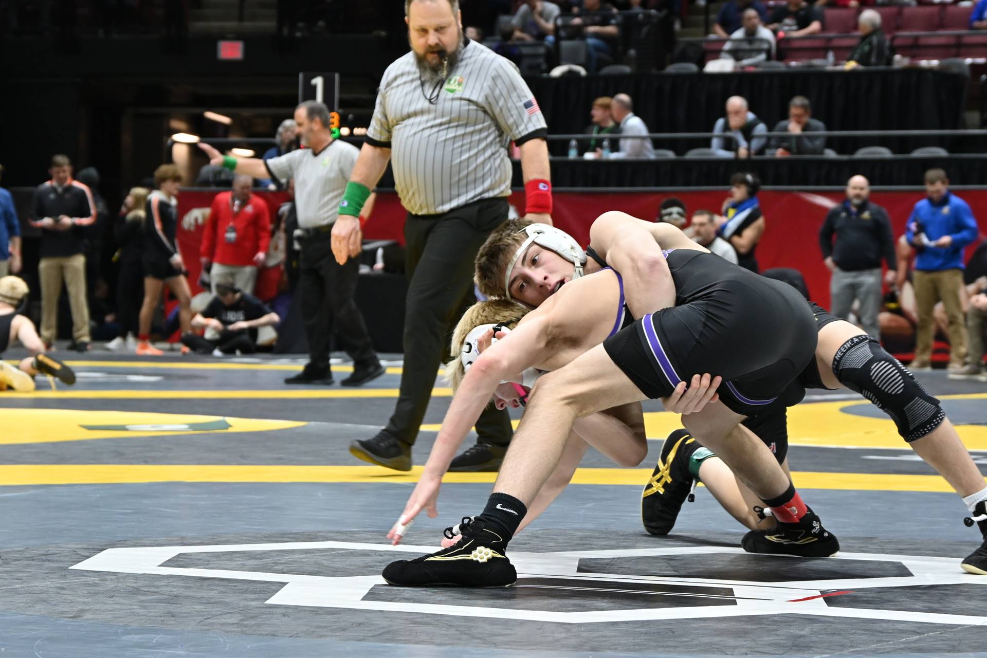 wrestling