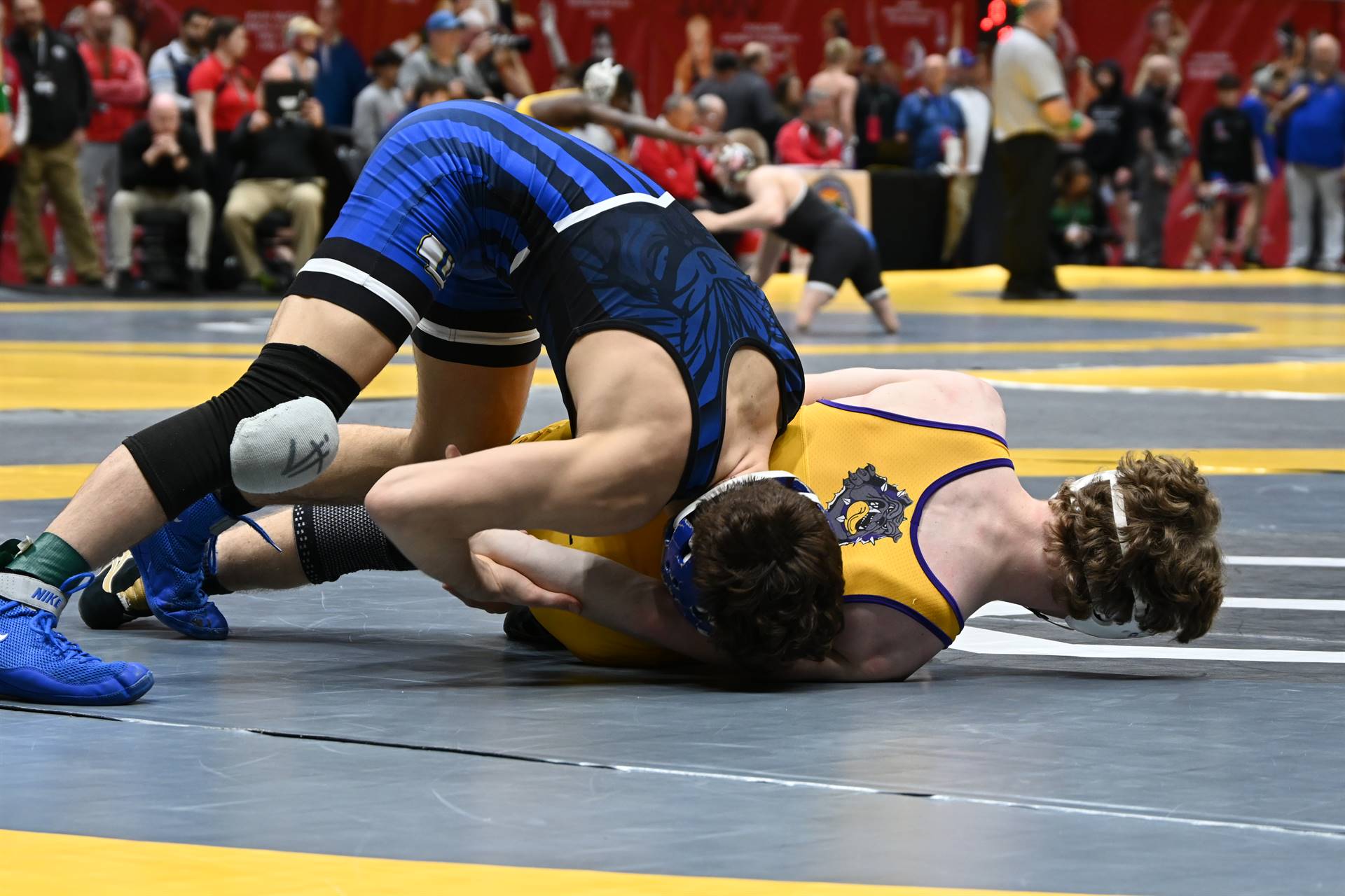 wrestling