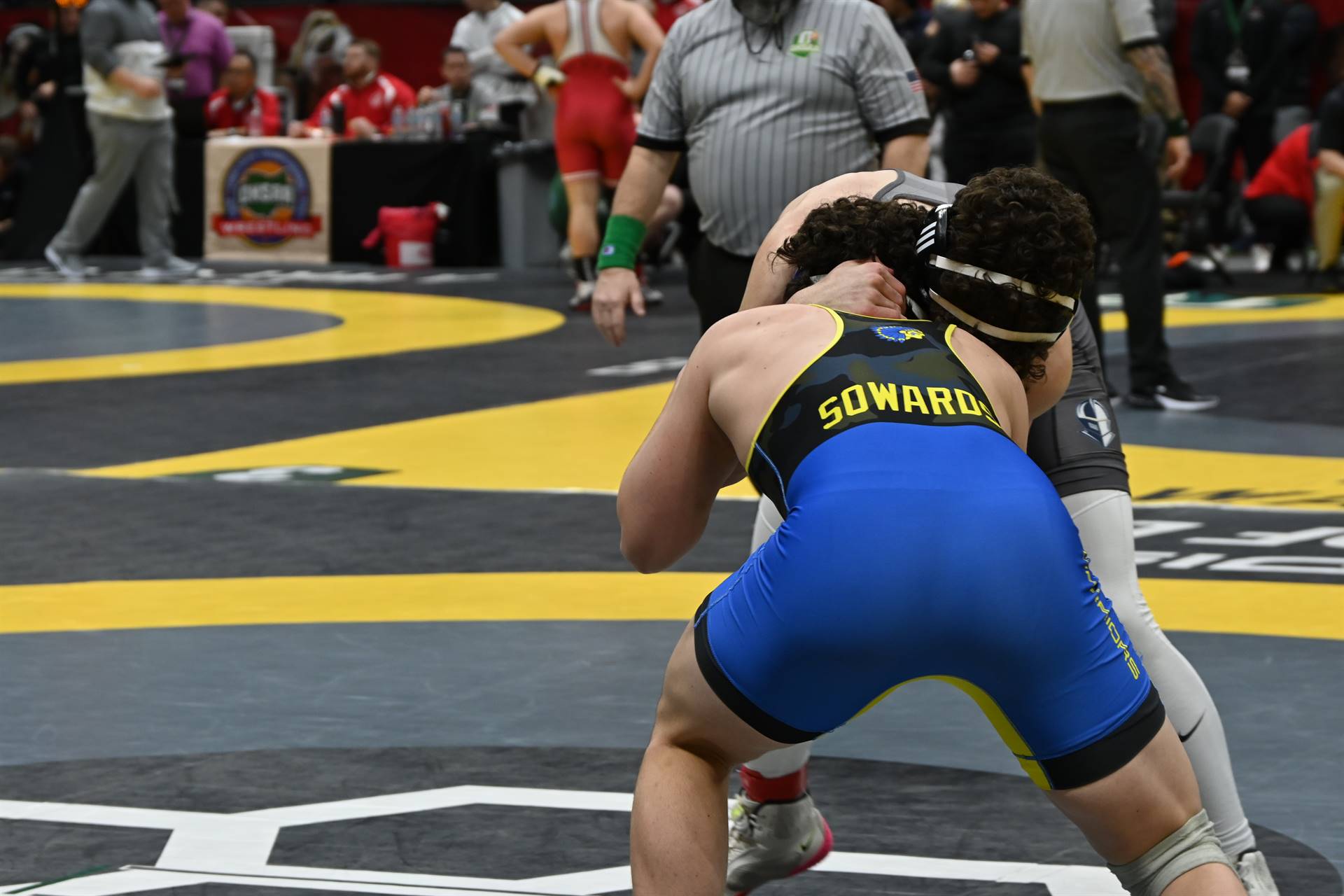 wrestling