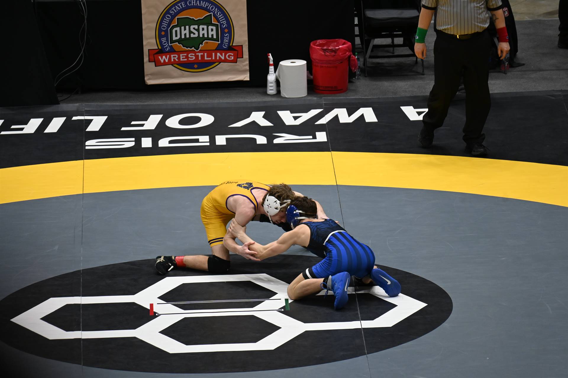 wrestling