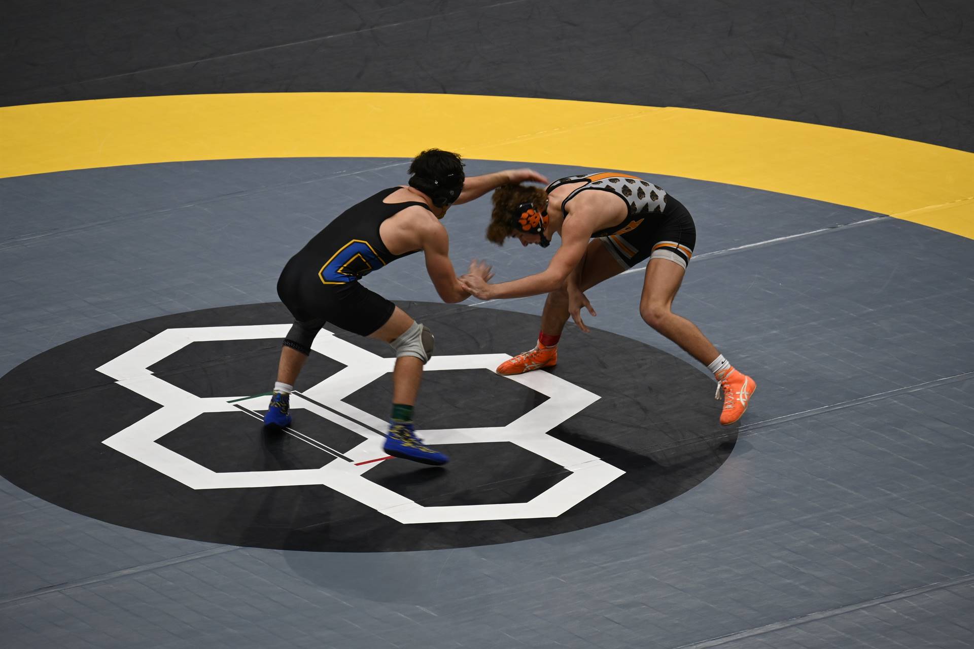wrestling
